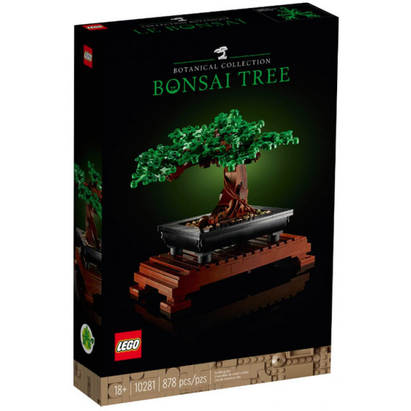 Albero Bonsai