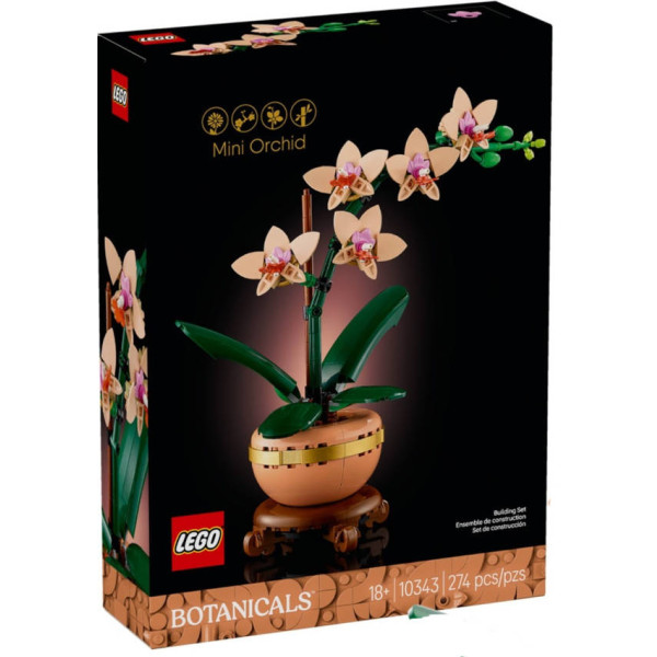 Mini-orchidea