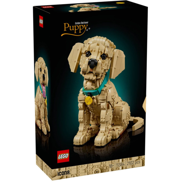 Cucciolo di Golden Retriever