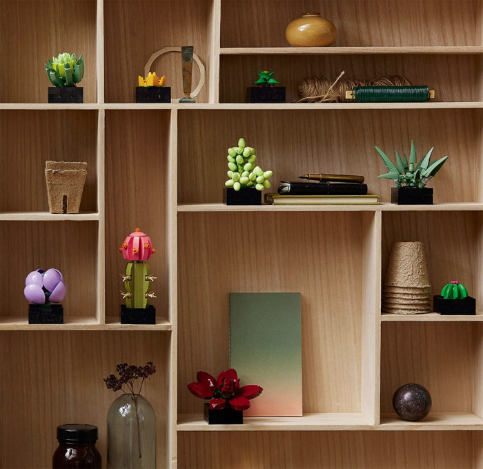 Lego Piante Grasse 10309 Botanic Collection