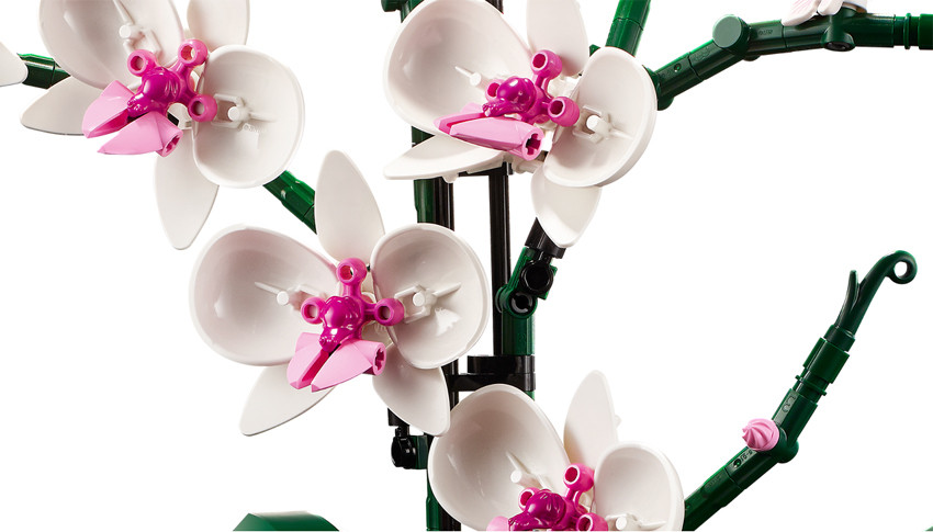 Lego Orchidea 10311 - Creator Expert 