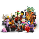 Minifigure Dungeons & Dragons®