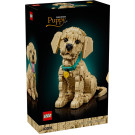 Cucciolo di Golden Retriever