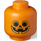 Testa di zucca Grande