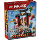 Display personaggi Ninja – 15° anniversario