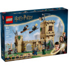 Castello di Hogwarts™: Lezioni di volo