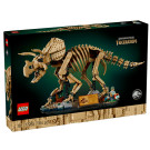 Fossili di dinosauro: Triceratopo