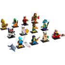 Minifigures Serie 21 - 71029