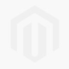 Aereo di linea Douglas™ DC-3™ PAN AM®