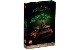 Albero Bonsai