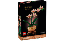 Mini-orchidea
