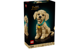 Cucciolo di Golden Retriever