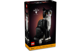 Gatto Tuxedo