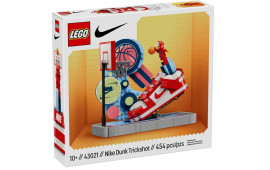 Nike Dunk Trickshot
