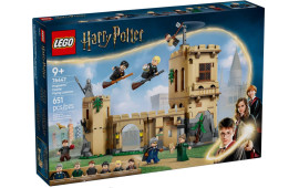 Castello di Hogwarts™: Lezioni di volo