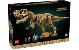 Fossili di dinosauro: Tirannosauro