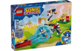 Duello al falò di Sonic