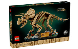 Fossili di dinosauro: Triceratopo