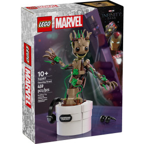 Groot ballerino