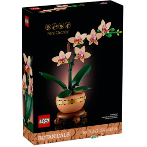 Mini-orchidea