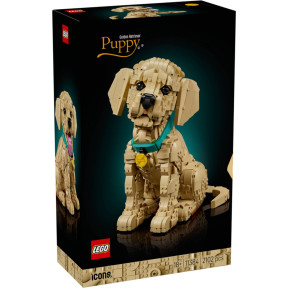 Cucciolo di Golden Retriever