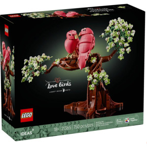 Uccellini innamorati