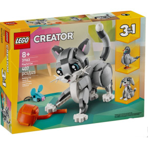 Gatto giocoso