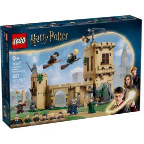 Castello di Hogwarts™: Lezioni di volo