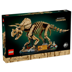 Fossili di dinosauro: Triceratopo